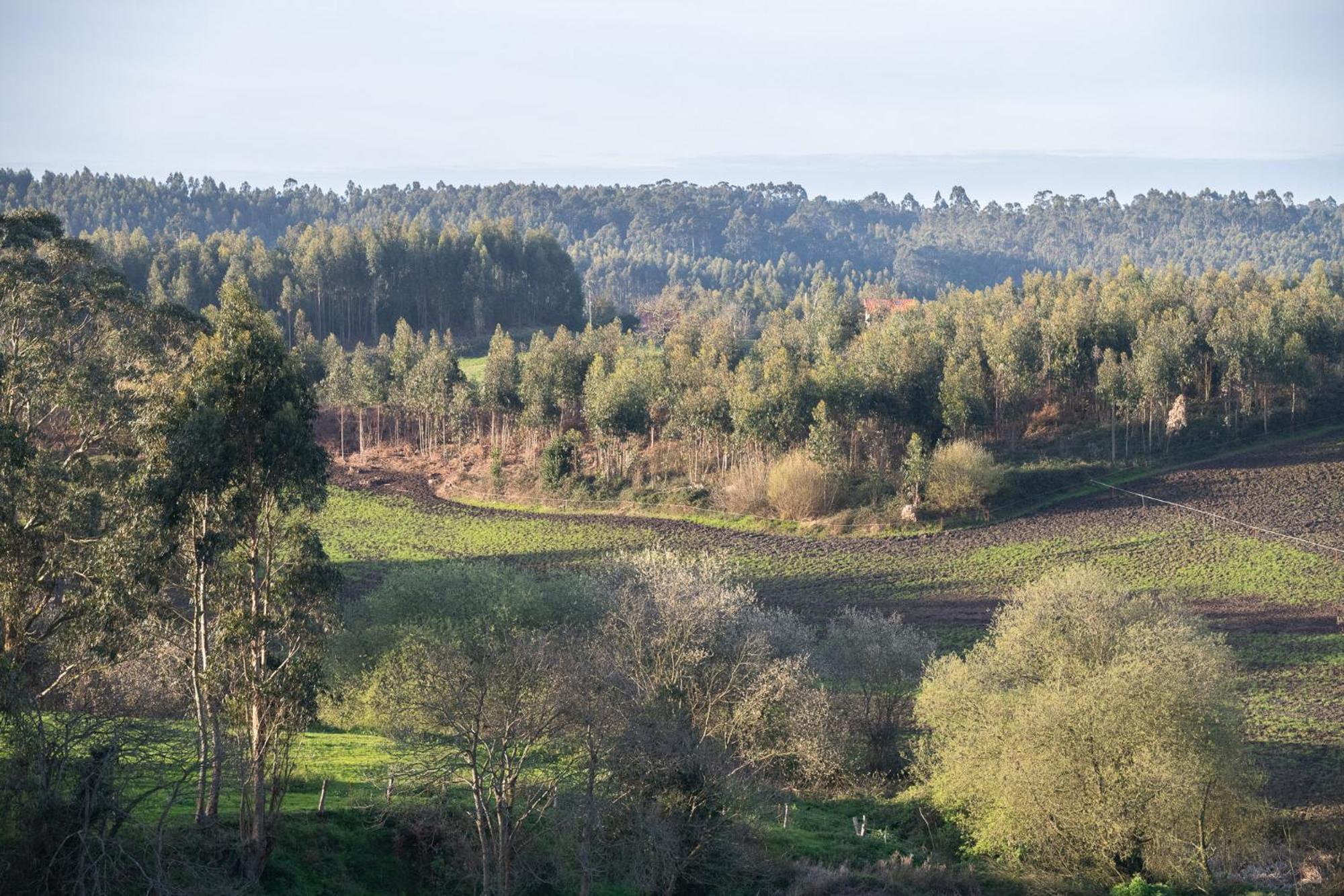 Willa Casa Garabeto Luanco Zewnętrze zdjęcie